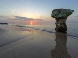Остатки старого леса провожают солнце.