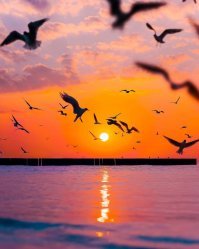 Где искать самые красивые закаты мира