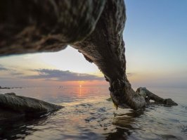 Остатки старого леса провожают солнце.
