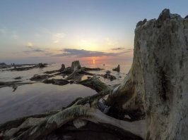 Остатки старого леса провожают солнце.