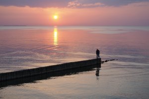 Самые красивые  в моём городе на Балтике.