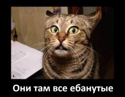 Бизнес на Путине, или инструкция по быстрому сбыту чего угодно в России