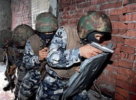 Гориллы ведут себя как люди, когда пытаются спрятаться от дождя