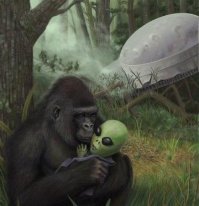 Вы всё врёте!!! Йети существует.
@ Директор РенТВ