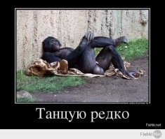 Плохому танцору и яйца мешают