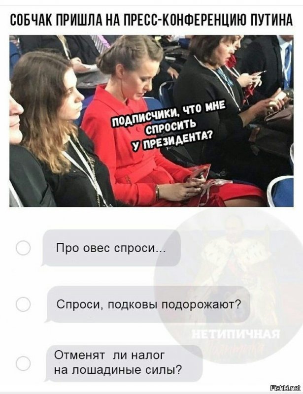 У нас "Лошадь" даже в президенты выбиралась...
