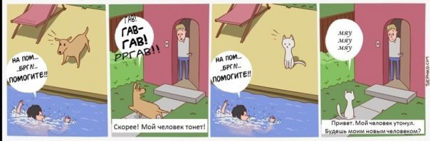 Кошки v/s собак