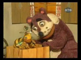 Наших медведей пчёлы только привлекают.