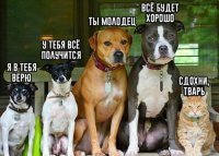 Я только коту верю...