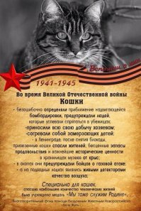 вот тебе про котов, учи матчасть