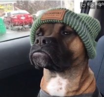 почти похож))