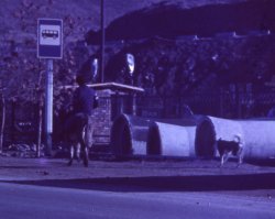 Почему нет работы в России для россиян и есть для мигрантов?