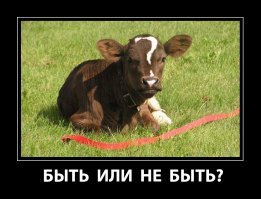 Не фотошоп, а природа: 17 питомцев с необычным окрасом