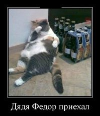 Образ кота в демотиваторах