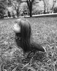 17 странных фотографий, предыстории которых мы никогда не узнаем