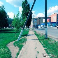 "Шмель - муж пчелы": взрослые рассказали, в какие странные глупости они верили в детстве
