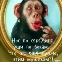 Прикольные и смешные картинки