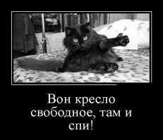 Образ кота в демотиваторах