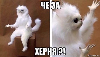 Отмазки моего сына, чтобы не ходить в школу