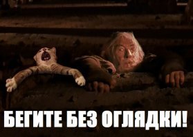 Свежая подборка демотиваторов, которые поднимут вам настроение