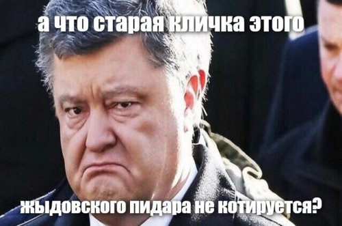 За что депутат Рады Нестор Шуфрич обозвал Порошенко «мертвым гусем»