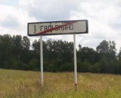 Деревню Гадюкино смыло