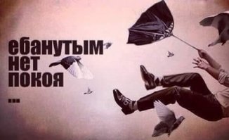Премия Дарвина почти нашла своего героя