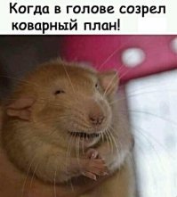 Картинки не для всех