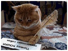 Автор поста :