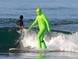 Животные с самыми странными особенностями тела