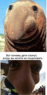 Зверские фото