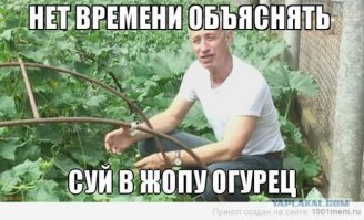 Невкусные пупырышки, или Почему горчат огурцы