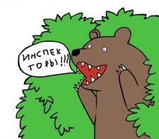 Охотинспекторы поймали стащившего холодильник с продуктами медведя