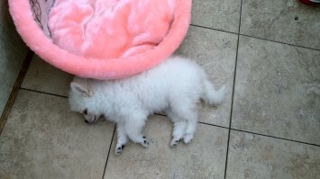 С добрым утром!