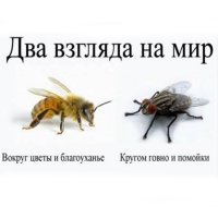 Ещё один пост из разряда: