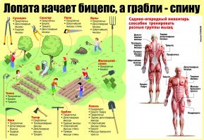 Картинки с надписями