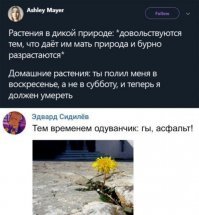 Для утреннего настроения