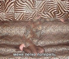 Картинки с надписями