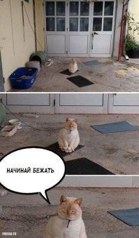 Картинки с надписями