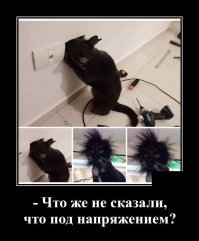 Эстетика чёрного цвета