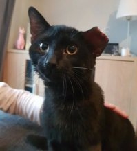 Эстетика чёрного цвета