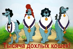 Как в Австралии будут убивать кошек