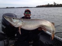 Это Канадская донная щука, вес до 35 кг. Такие большие только там встречаются.