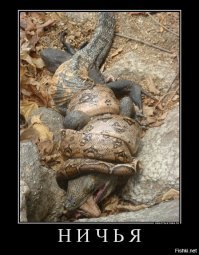 Демотивируй