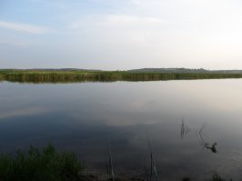 пара удочек, водоём и выключенный телефон - всё, я в раю!