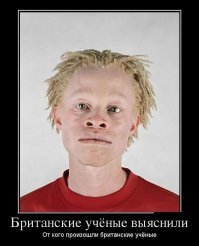 Учёному из Британии удалось расшифровать манускрипт Войнича