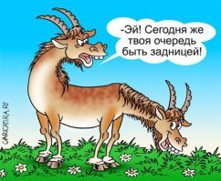 Подборка автомобильных приколов