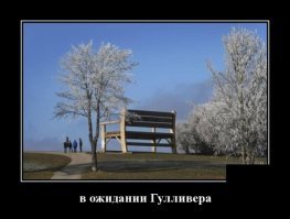 С миру по фотке