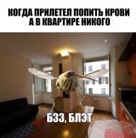 Намешалось