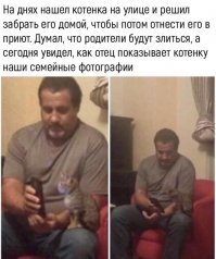 Милых котиков пост